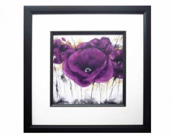Pavot Violet III (S)