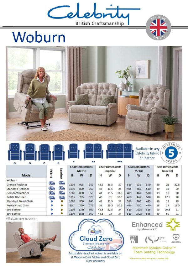 Celebrity Woburn Leather Cloud Zero Tripple Motor Lift & Rise Recliner Chair - Image 9