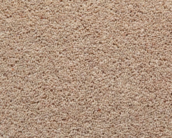 Hatton Twist Carpet Collection Cream