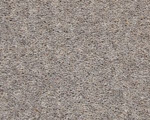 Hatton Twist Carpet Collection Squirrel