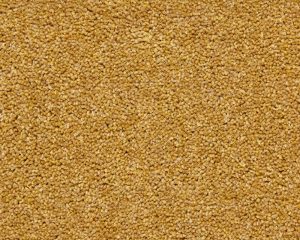 Hatton Twist Carpet Collection Vintage