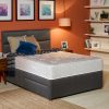 Relyon Intense Ortho 800 Pocket Sprung Divan Bed