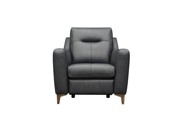 Austen power armchair front - leather